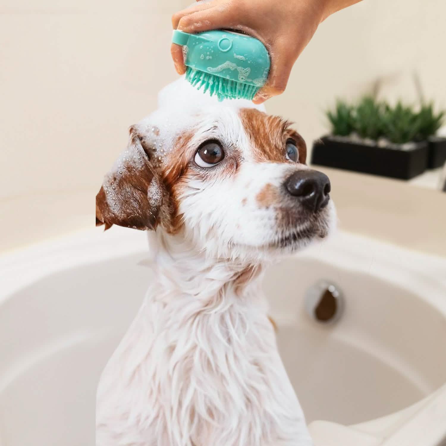 Soft Dog Cat Pet Bath Scrubber Massager Brush With Shampoo Dispenser