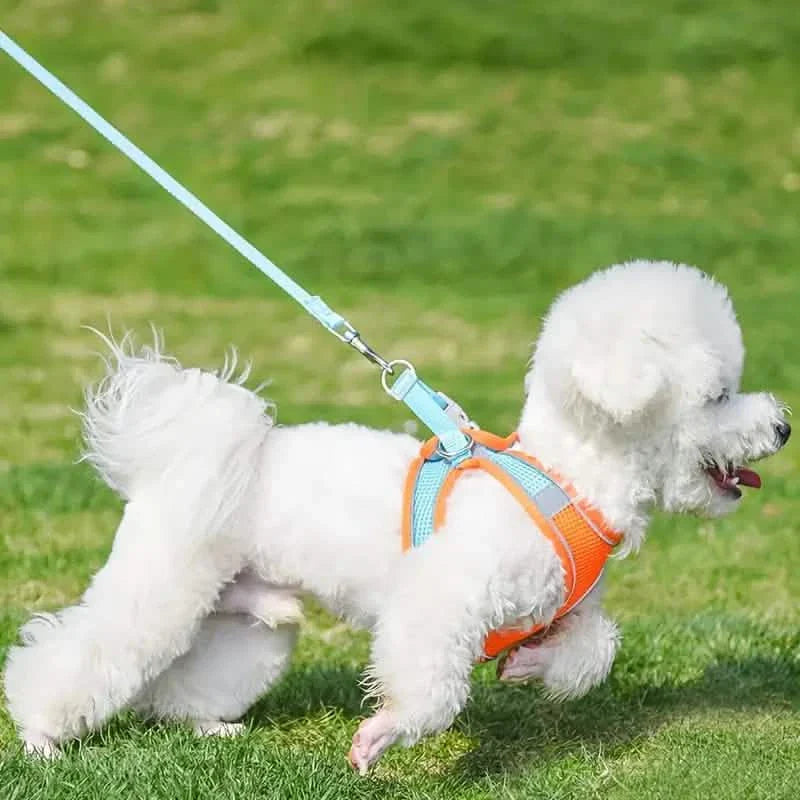 Reflective Dogs Harness with Leash Adjustable Harness Vest Breathable Collars